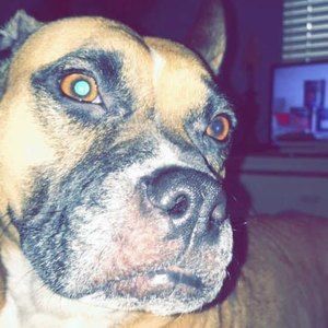 Meet your Posher, Noah